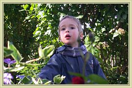 premieres fleurs de printemps