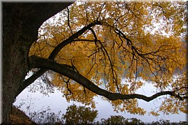 Novembre.jpg