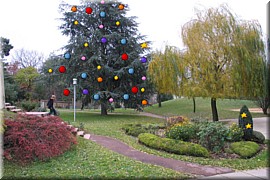 Novembre.jpg