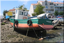 juillet.jpg