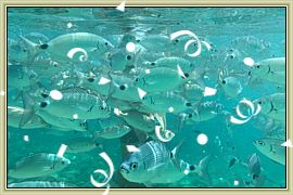 2019