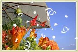 Automne 2003