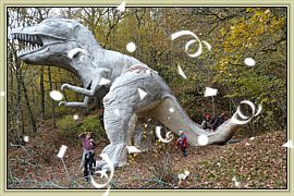 Automne 2008