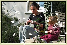 Printemps 2004
